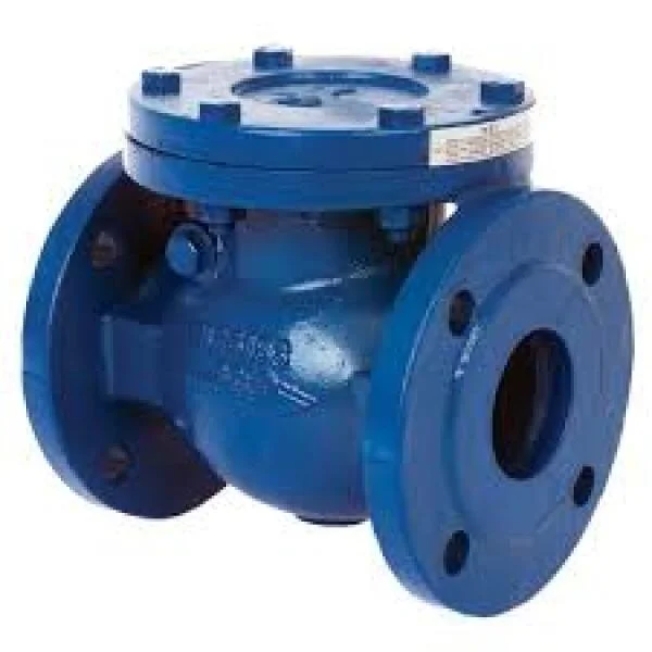 Tìm hiểu về check valve dn50