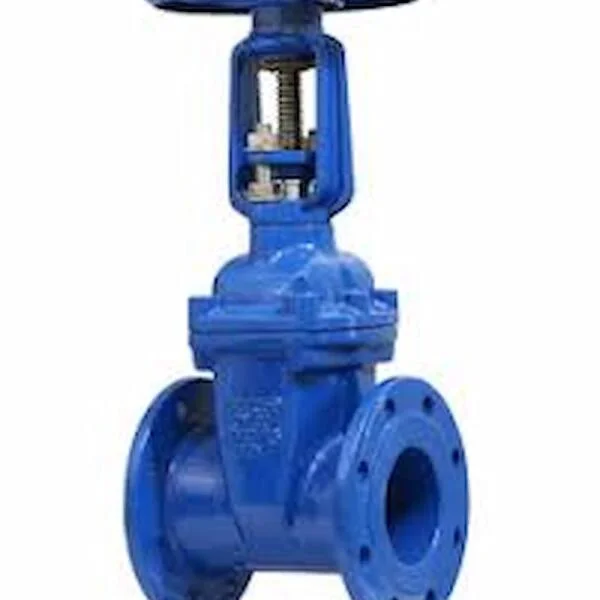 Cổng van tại Hàn Quốc: Toàn diện về van cổng