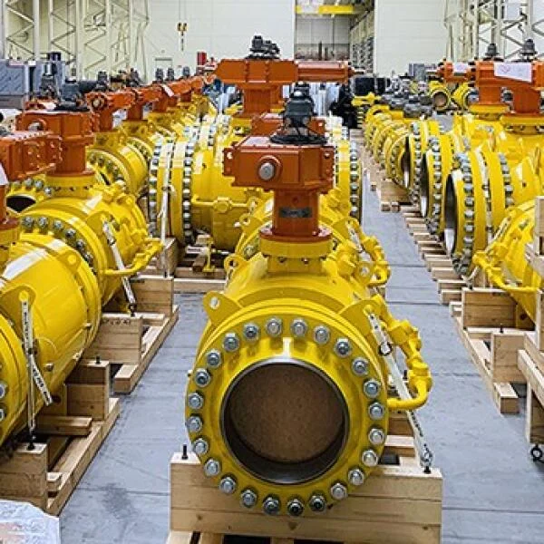 Tổng quan về Armatury valve