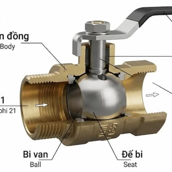 tạo cho tôi 3 ảnh độc lập riêng biệt, 1 về cấu tạo, 1 về ứng dụng và 1 về phân loại của