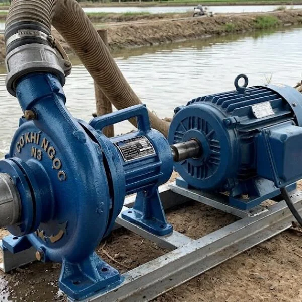 Bơm cơ khí Ngọc N3 là gì? Hướng dẫn chọn đúng kỹ thuật