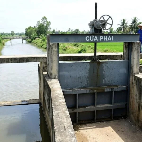 Cửa phai là gì? Hướng dẫn chọn đúng kỹ thuật