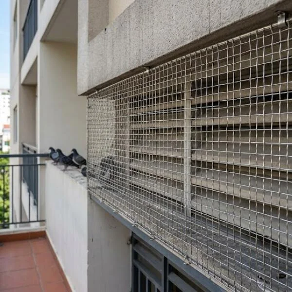 Lưới inox chắn chim là gì? Giải pháp chống chim hiệu quả và cách chọn đúng