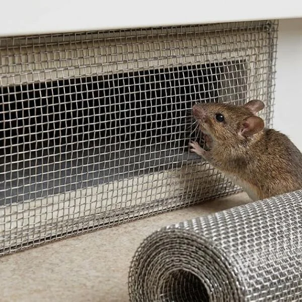 Lưới inox chắn chuột là gì? Giải pháp bảo vệ hiệu quả và cách chọn đúng