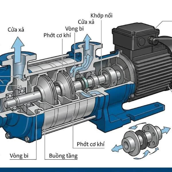 Pump Grundfos catalogue và cách tra cứu chính xác