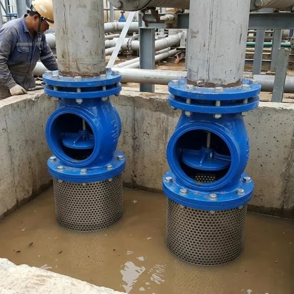 Rọ bơm mặt bích là gì? Cấu tạo, ứng dụng và cách chọn