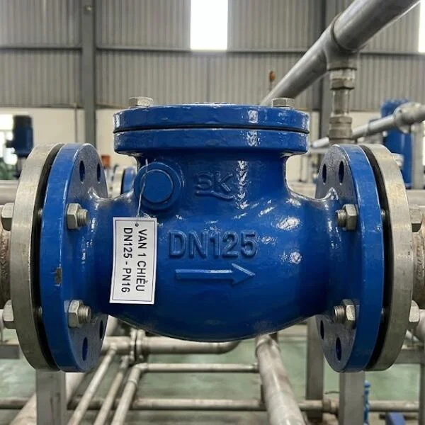 Van 1 chiều DN125 là gì? Cấu tạo, ứng dụng và cách chọn