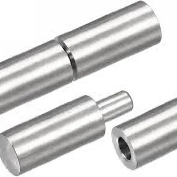 Bản lề cổng inox