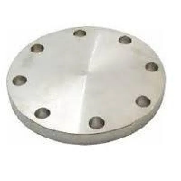 Tìm hiểu blind flange 6 inch