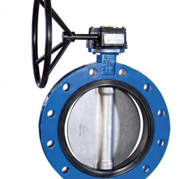 Butterfly valve double flange