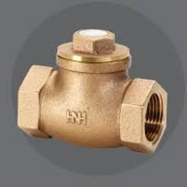 Giới thiệu check valve
