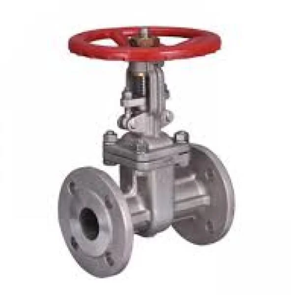 Tìm hiểu về flange type gate valve