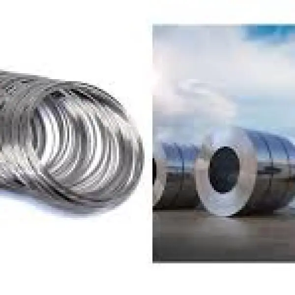 Inox 310 và 316