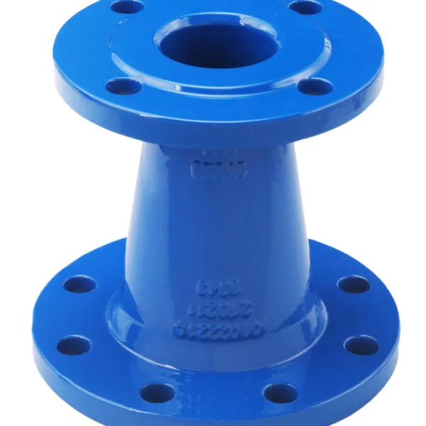 Reducer flange type