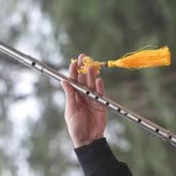 Sáo inox