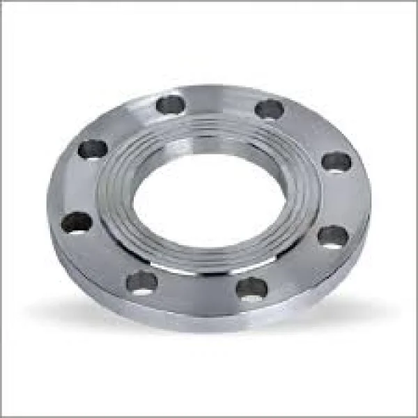 SS316L Flange