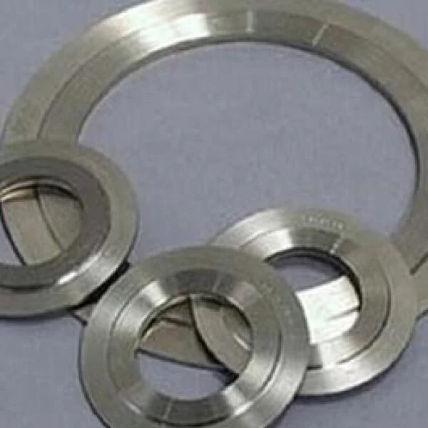 Stainless steel flange gasket