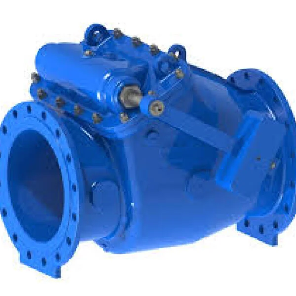 Swing check valve là gì?