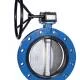 Butterfly valve double flange