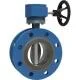 Double flange butterfly valve