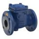 Tất cả về flange check valve