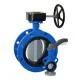 flanged-butterfly-valve-2