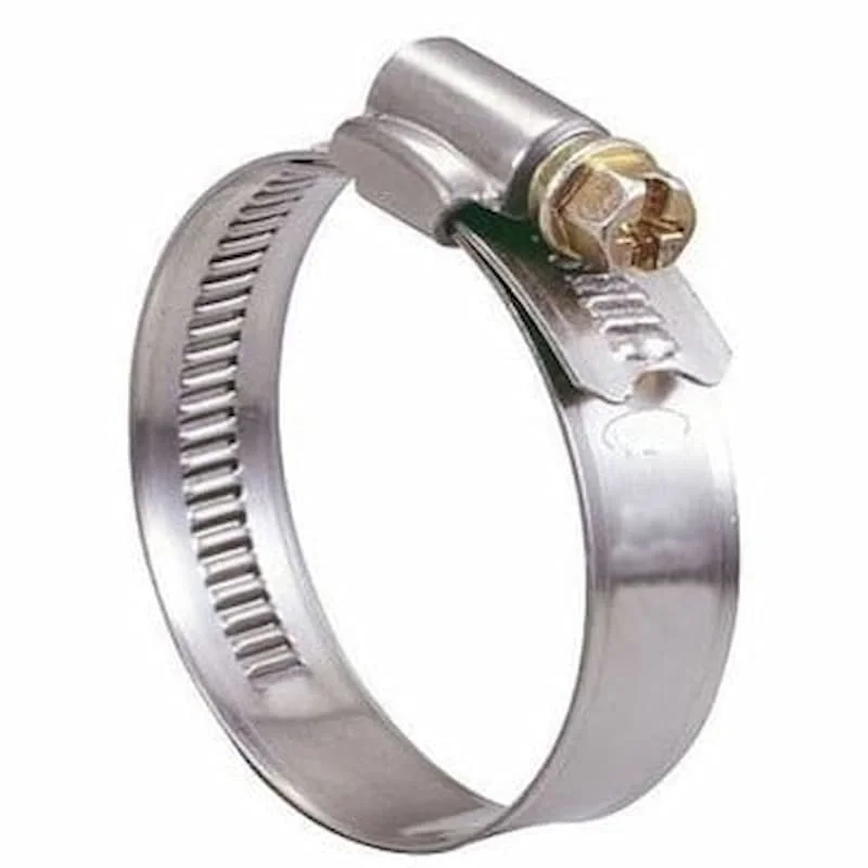 Hình ảnh minh họa (2)