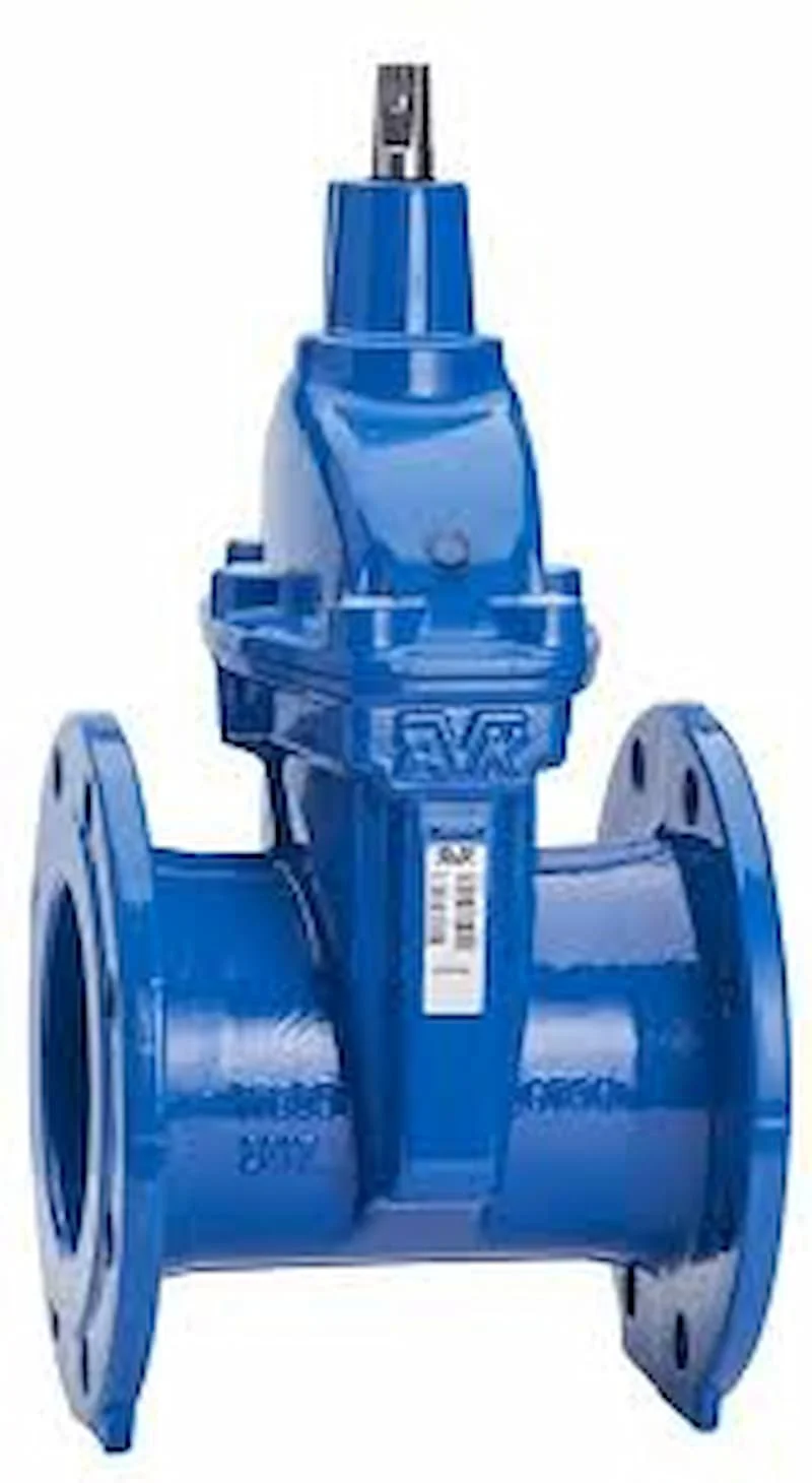 Hình ảnh minh họa (1)