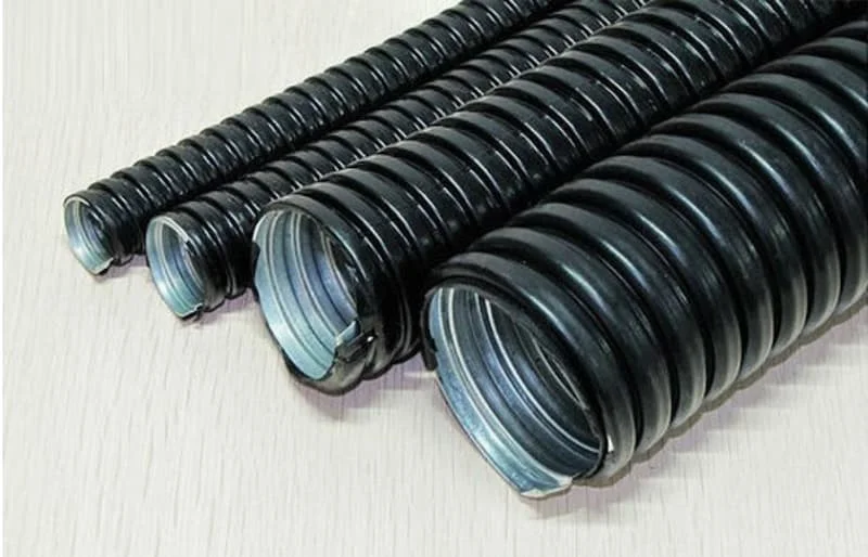 Hình ảnh minh họa (1)