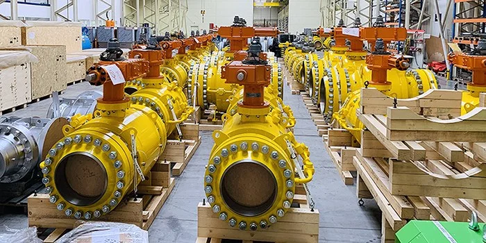 Hình ảnh minh họa 1