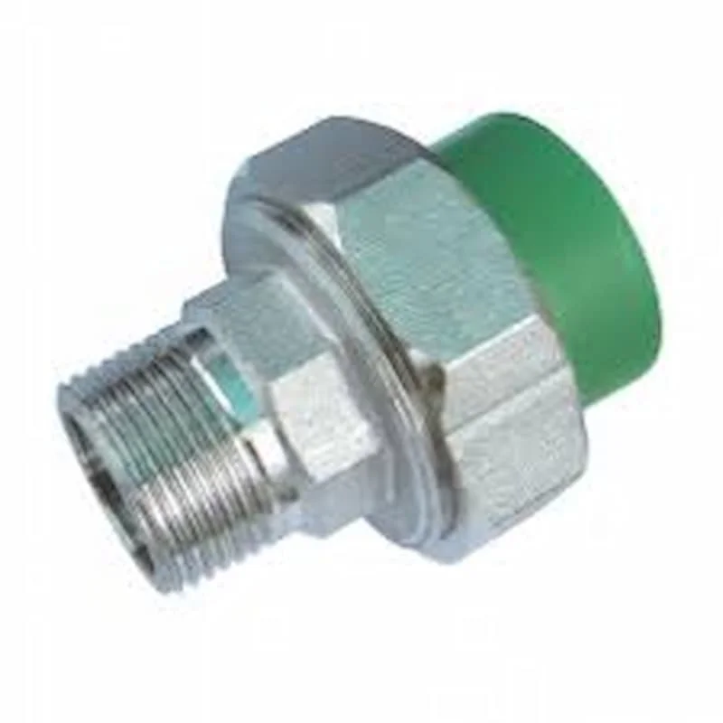 Hình ảnh minh họa (1)