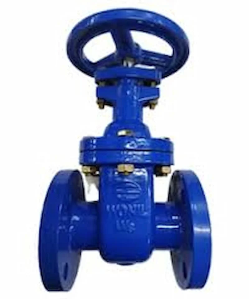 Hình ảnh minh họa (1)