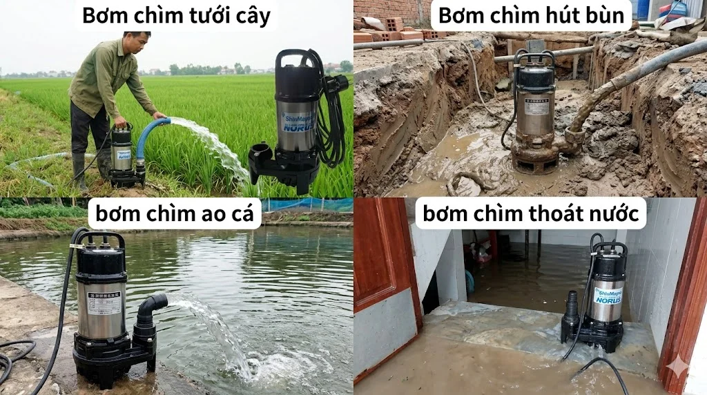 Cách chọn bơm chìm nội địa đúng kỹ thuật