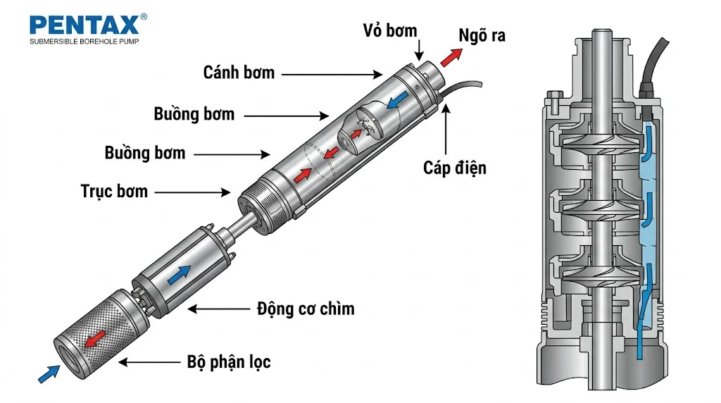 Cấu tạo của bơm tên lửa Pentax