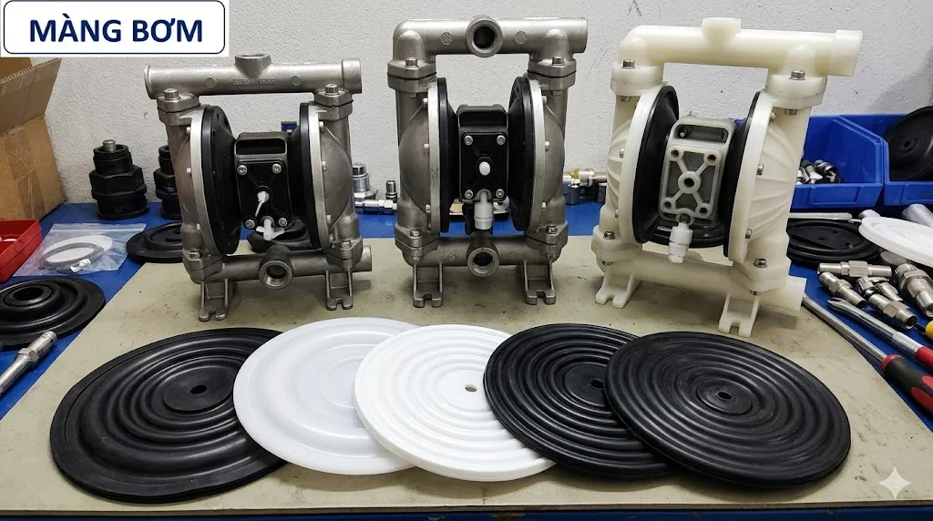 Khái niệm màng cho bơm trong thực tế