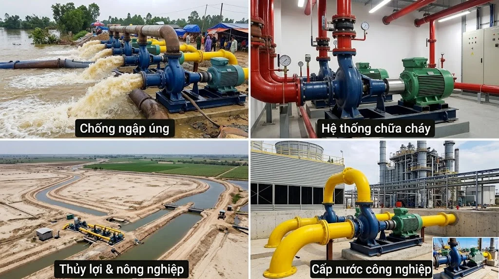 Ứng dụng của máy bơm nước đầu rời