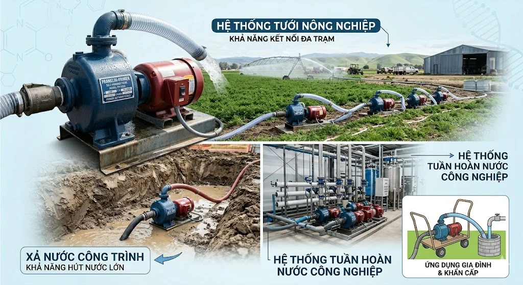 Ứng dụng của self prim pump trong thực tế