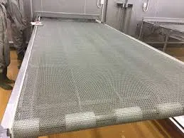 băng chuyền inox 1