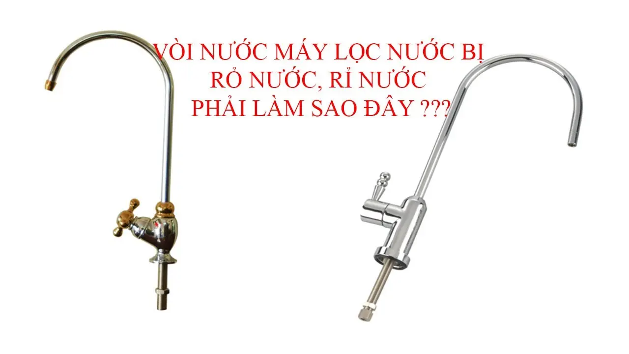 Hình ảnh minh họa (1)