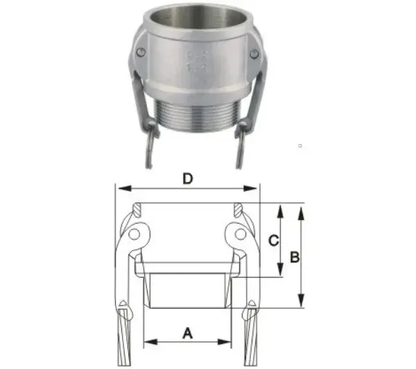 camlock inox 1