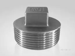 đầu bịt inox 1