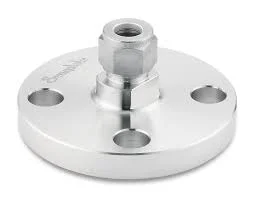 Hình ảnh minh họa 2