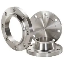 flange inox 1