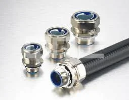 Hình ảnh minh họa 2