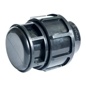 Hình ảnh minh họa 2