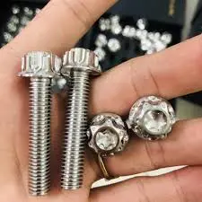 ốc inox 304 salaya