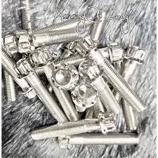 ốc inox 304 salaya 1