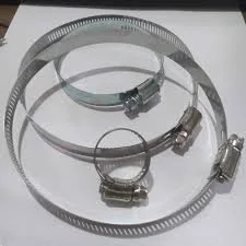 Hình ảnh minh họa 1