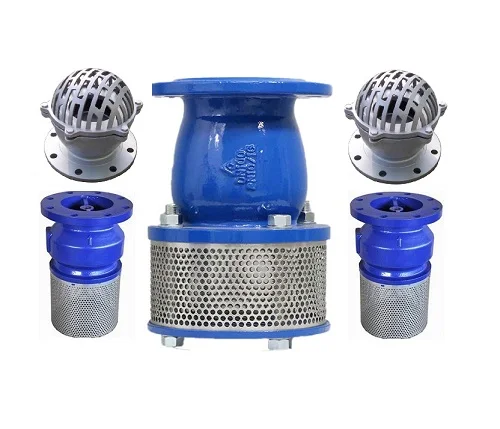 Hình ảnh minh họa 2