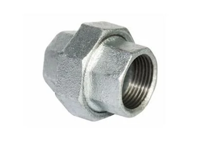 Hình ảnh minh họa 2